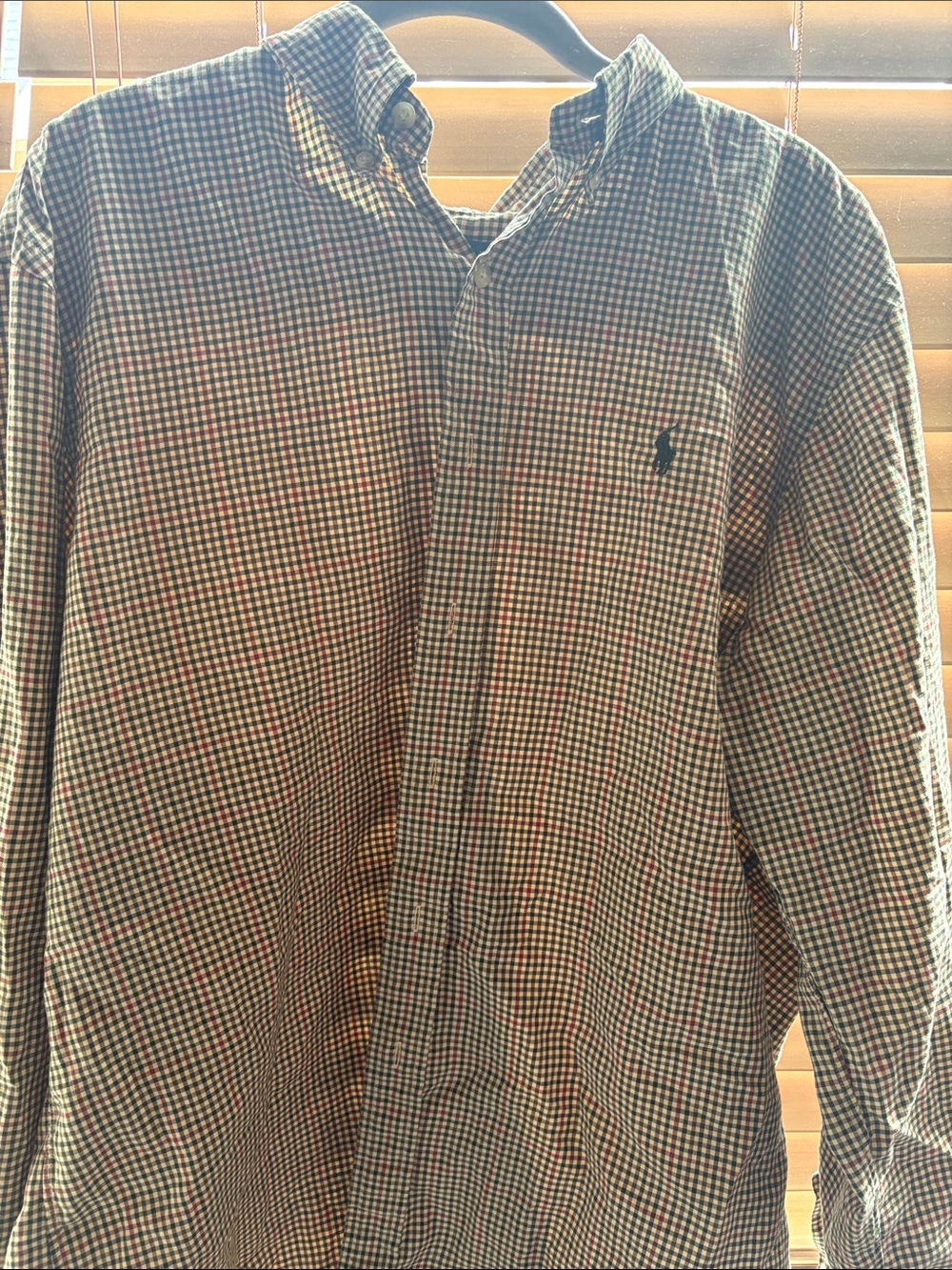 Ralph Lauren Multi-Color Gingham Button-Down Shirt